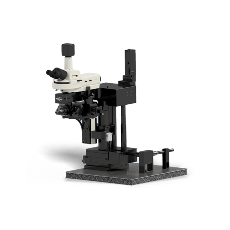 Ultima多光子顯微鏡系統 Ultima多光子顯微鏡系統