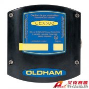 INDUSTRIAL SCIENTIFIC CEX 300 可燃氣體檢測器