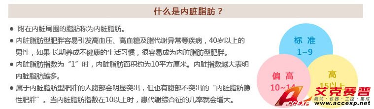 什么是內臟脂肪及內臟脂肪型肥胖 什么是內臟脂肪及內臟脂肪型肥胖