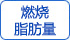 燃燒脂肪量 燃燒脂肪量
